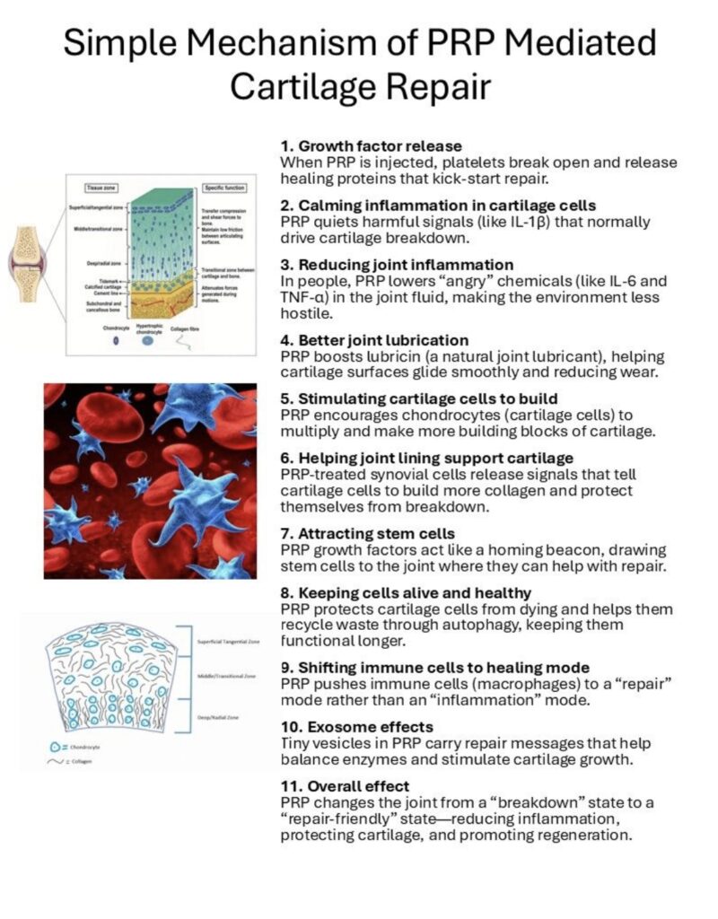 orthobiologics